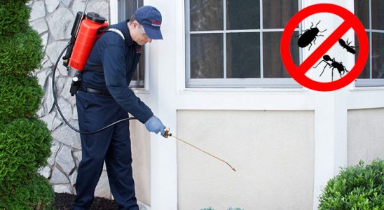 Trabzon Hamam Böceği İlaçlama böcek ilaçlama ve haşere kontrolü — ilaclama-tr.com